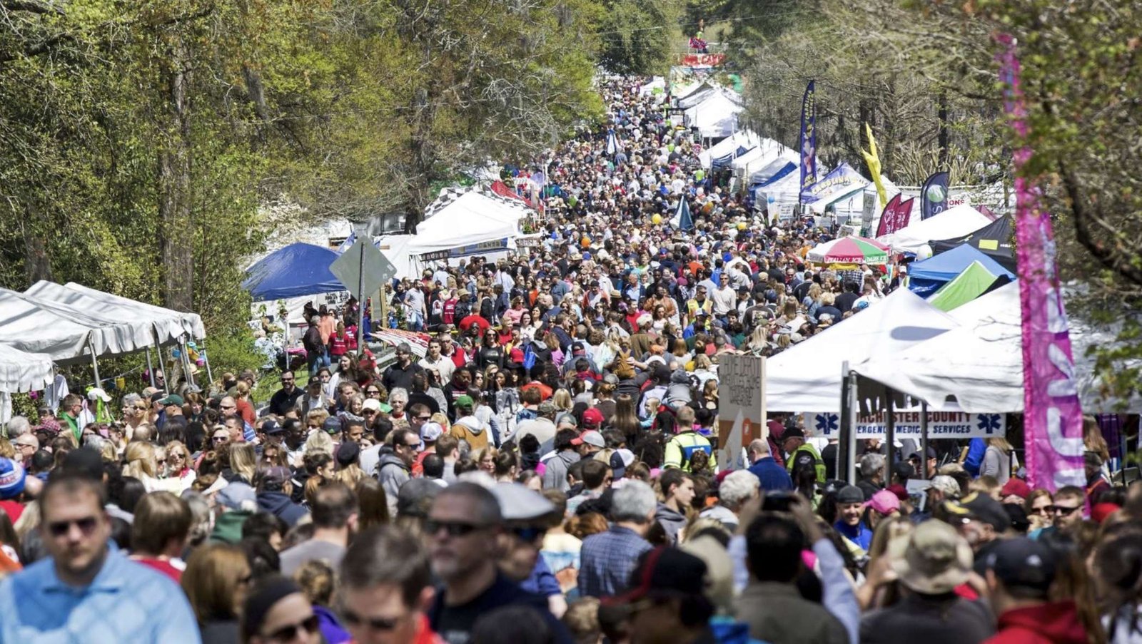 Summerville Family YMCA Flowertown Festival
